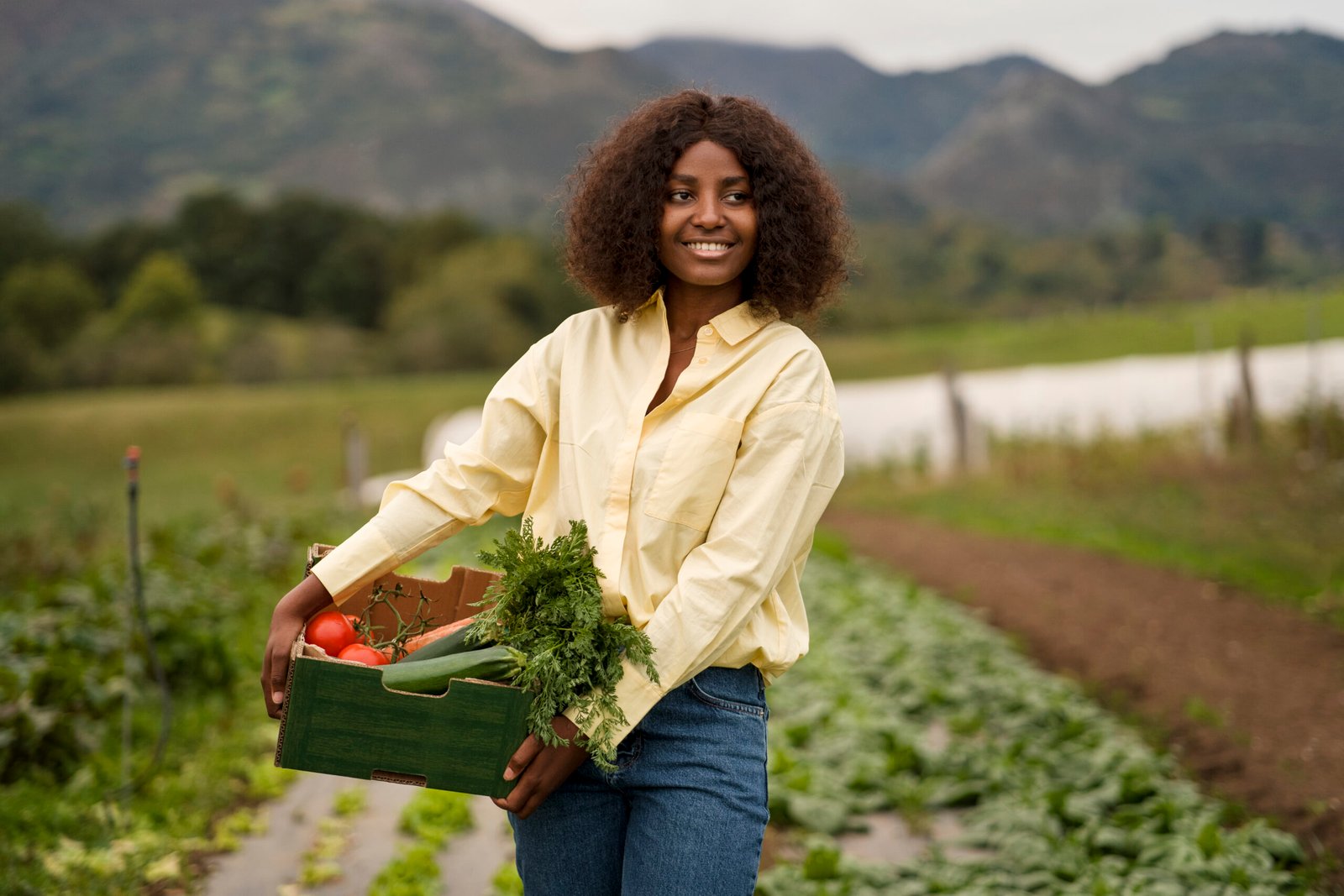 BAAgrilink is a powerful agritech platform designed to connect farmers, agro-entrepreneurs, and investors across Africa.