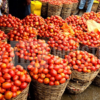 Tomatoes Basket