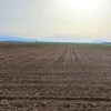 5 Acres Farmland at Imeko