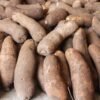 Yam Tuber